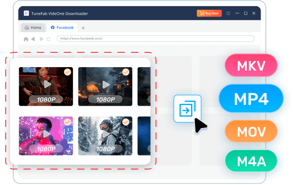 Batch Convert Facebook to MP4