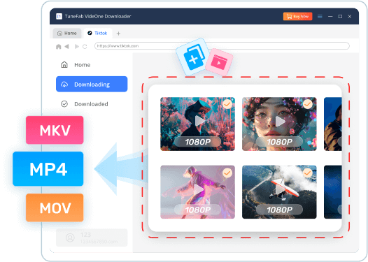 Download All TikTok Videos in One Click