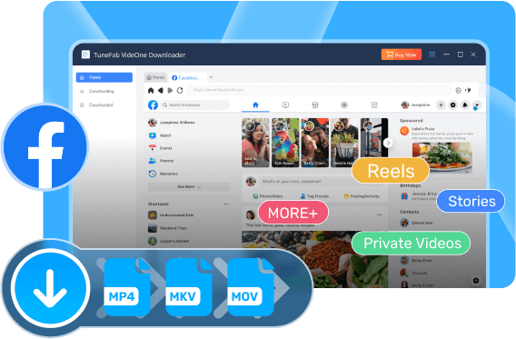 TuneFab VideOne Facebook Downloader