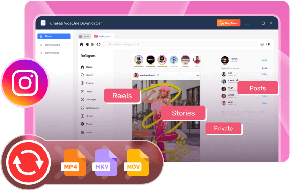 TuneFab VideOne Instagram Downloader
