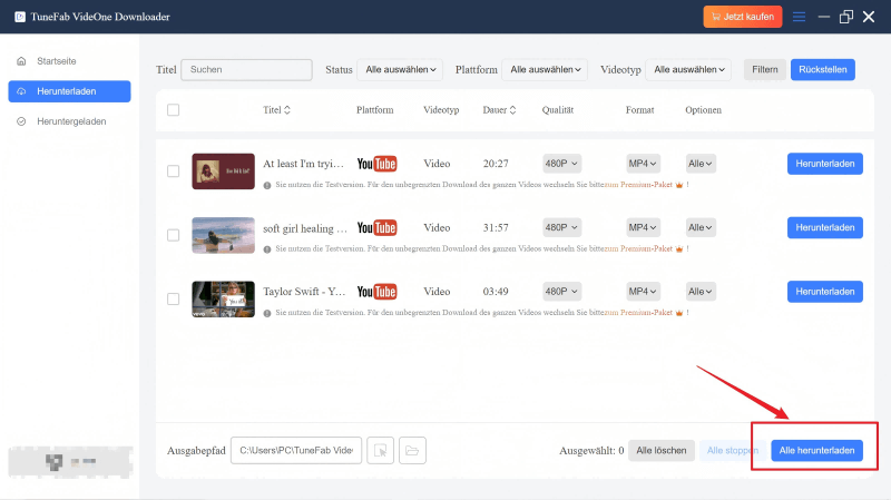 Alle YouTube Videos konvertieren in TuneFab