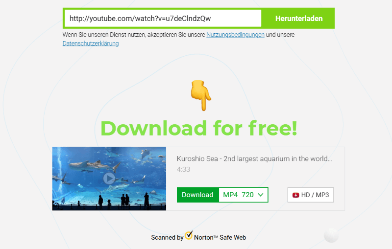 Die Video-URL in den Online Downloader einfügen