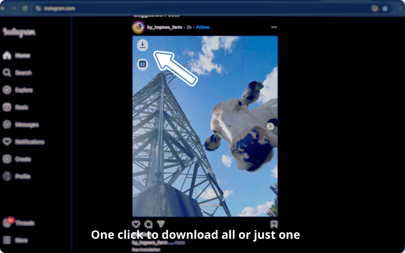 Auf dem Download-Icon klicken
