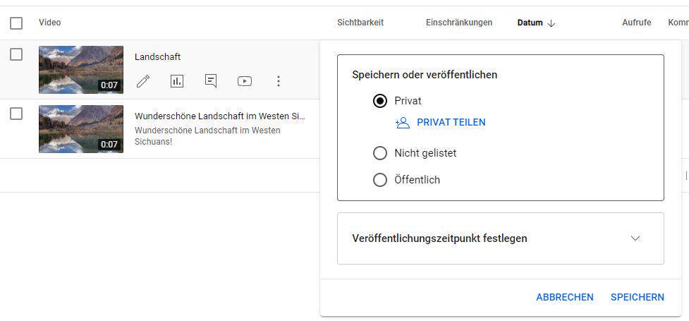Sichtbarkeit des hochgeladenen Videos auf „Privat“ setzen
