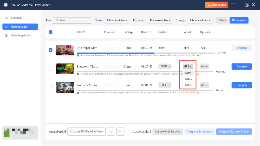 Set Output Format for Disney Plus Downloads