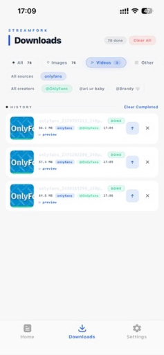 Benutzeroberfläche des StreamFork