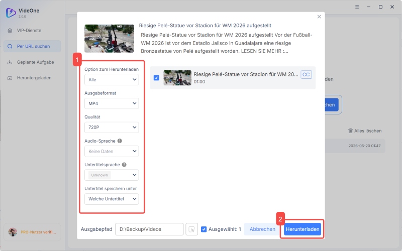 Dailymotion Video herunterladen