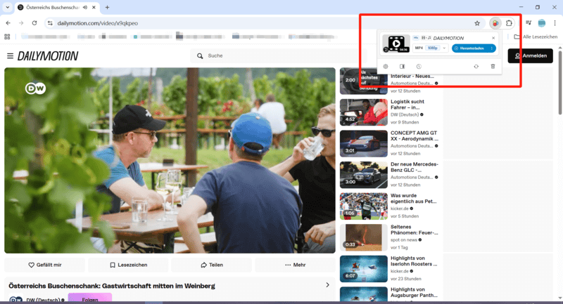 Dailymotion-Video mit Video Downloadhelper downloaden