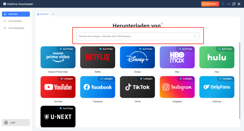 Dailymotion Videolink in VideOne eingeben