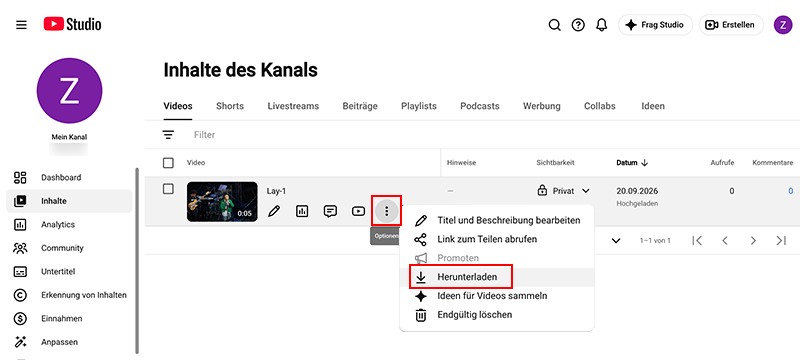Das hochgeladene private YouTube-Video downloaden