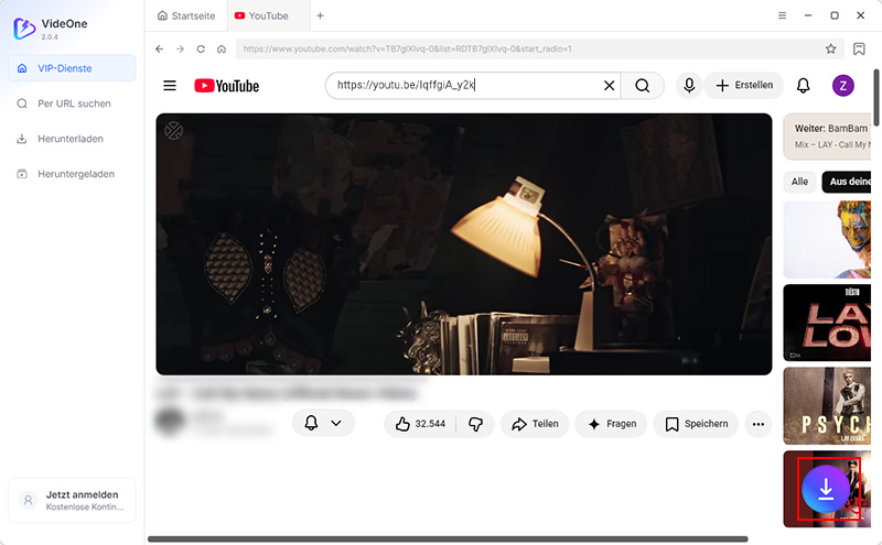 Das private YouTube-Video zur Download-Liste hinzufügen