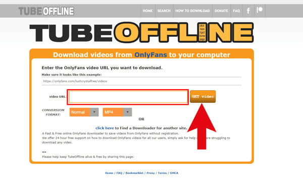 Den kopierten Link auf TubeOffline einfügen