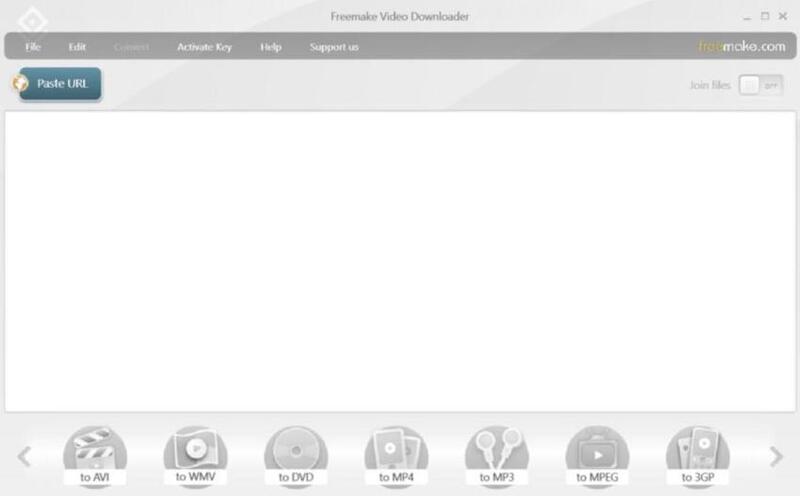 der Link in Freemake einfügen