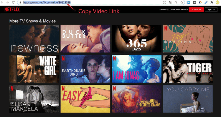 Die URL des Netflix-Videos kopieren