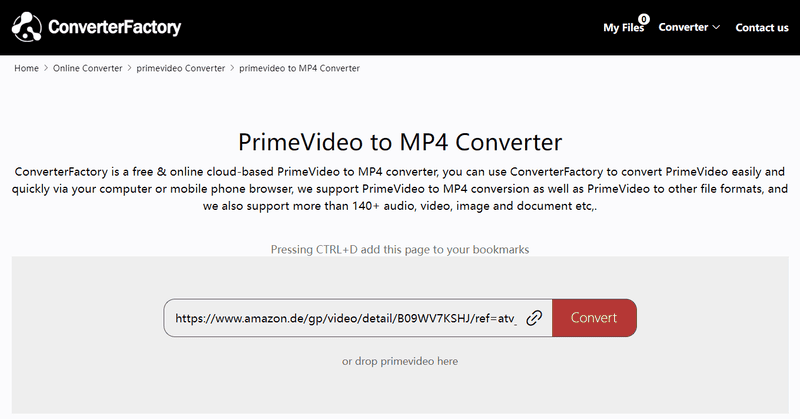 Die URL des Videos in ConverterFactory einfügen
