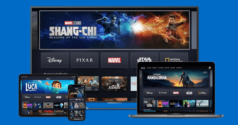 Disney Plus als MP4 downloaden