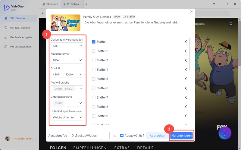 Disney Plus-Video nach schneller Parametereinstellung herunterladen