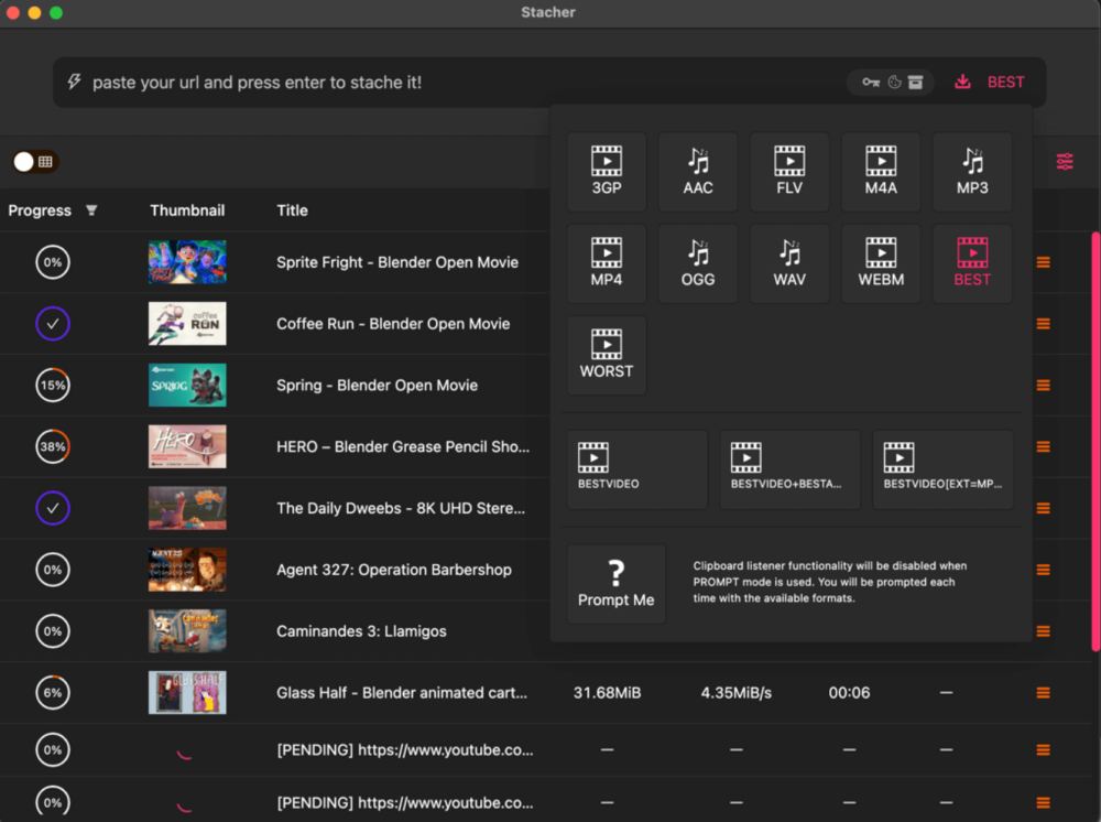 Download private YouTube Videos via Stacher