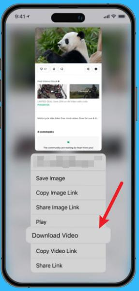 Im eingeblendeten Menü „Download Video“ auswählen