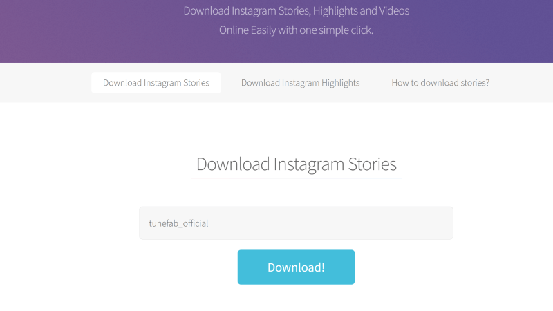 Instagram-Nutzernamen auf StorySaver geben