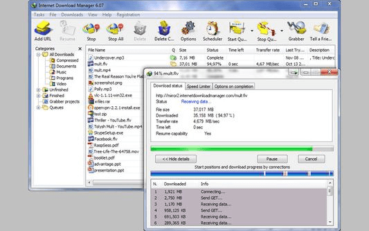 Internet Download Manager