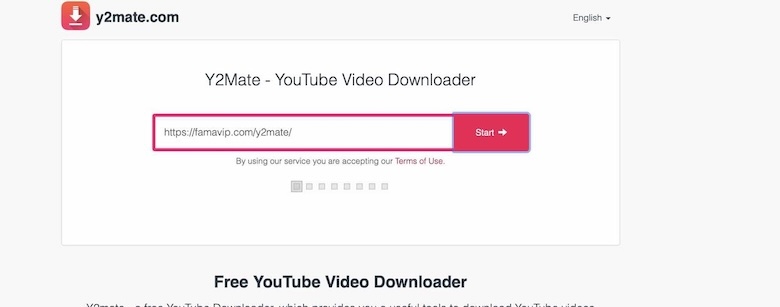 YouTube-Link bei Y2mate einfügen