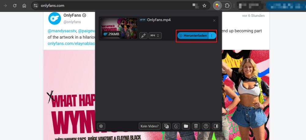 Mit Video DownloadHelper OnlyFans-Videostreams analysieren
