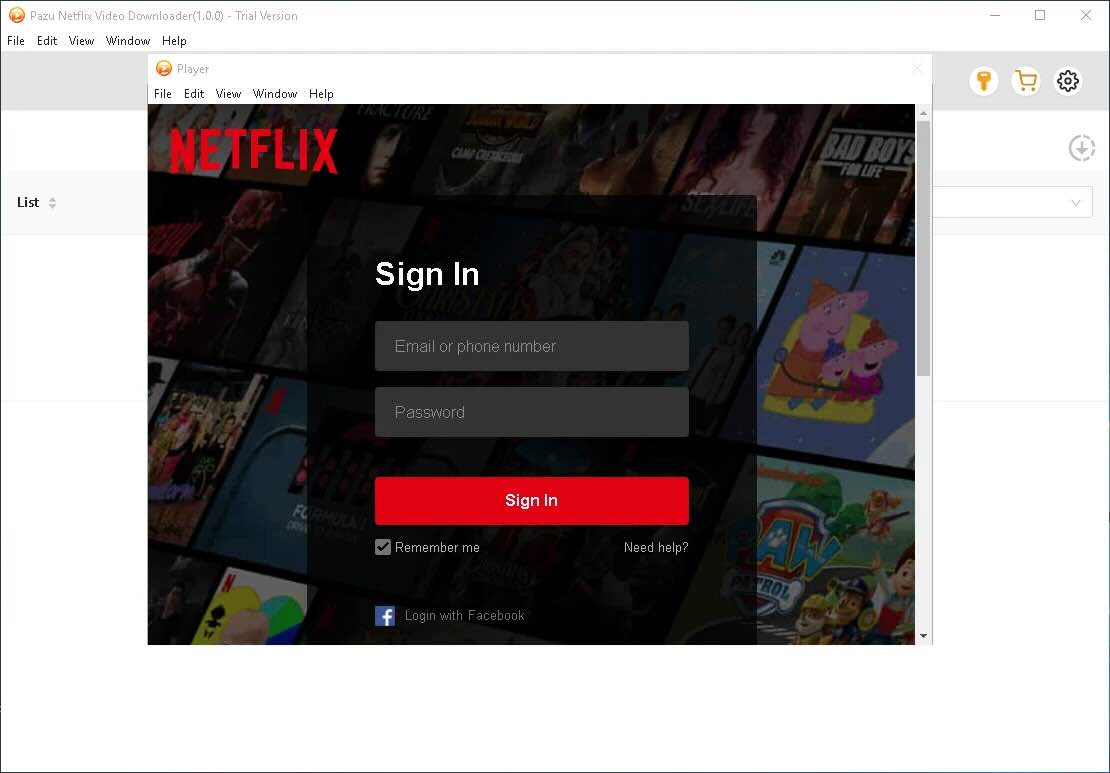 Anmeldung am Netflix-Konto