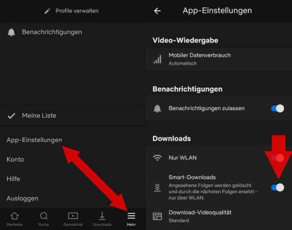 Netflix Smart-Downloads