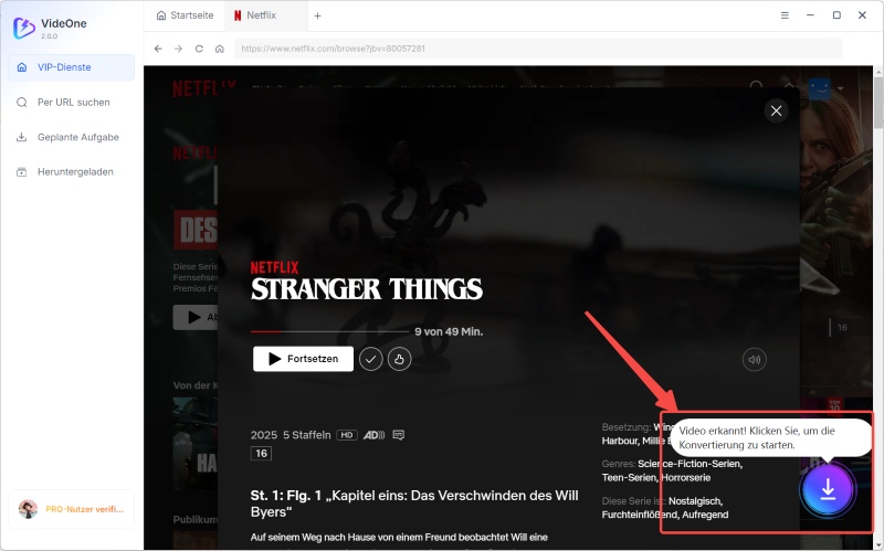 Netflix-Link analysieren