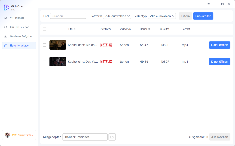 Netflix-Downloads prüfen