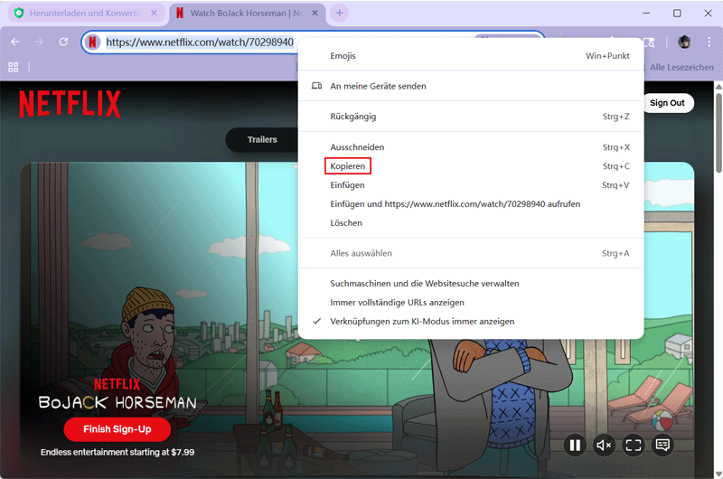 Netflix Video Link kopieren