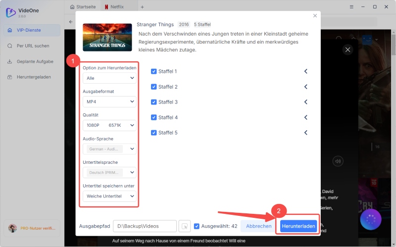 Ausgabeformat der Netflix-Videos festlegen