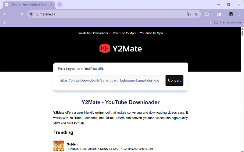 RTL Plus URL im Online Downloader einfügen