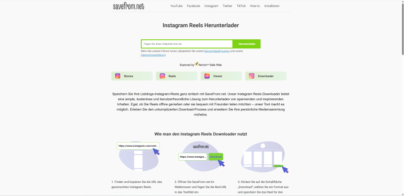 SaveFrom.net Instagram Reels Downloader