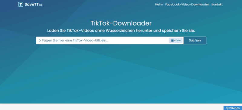 SaveTT Online TikTok Downloader