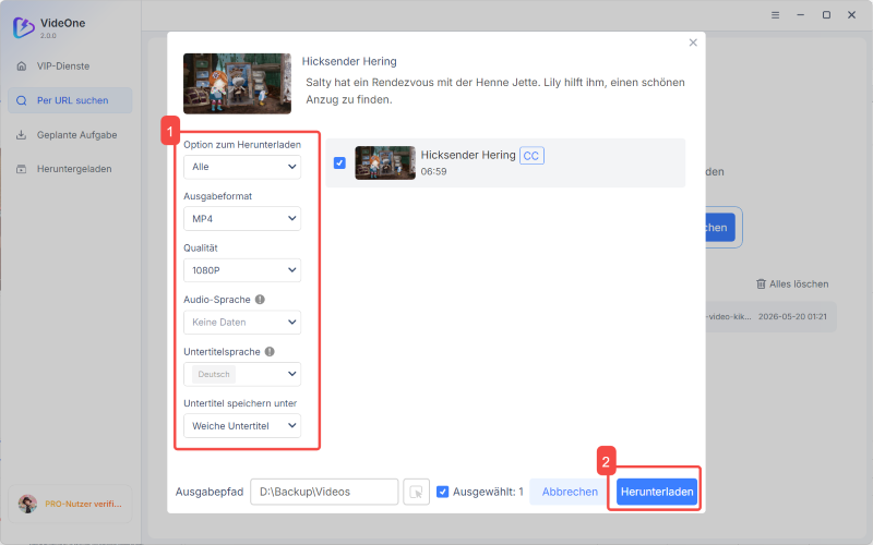 Schnelleinrichtung für RTL+ Video-Download