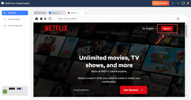 Sich mit Netflix-Konto anmelden