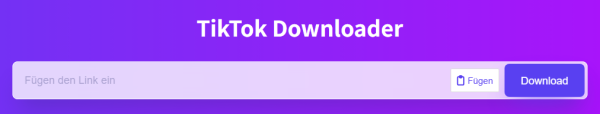 SSSTIK TikTok Downloader