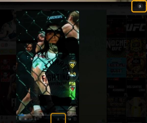 Telegram Videos durch Chrome downloaden