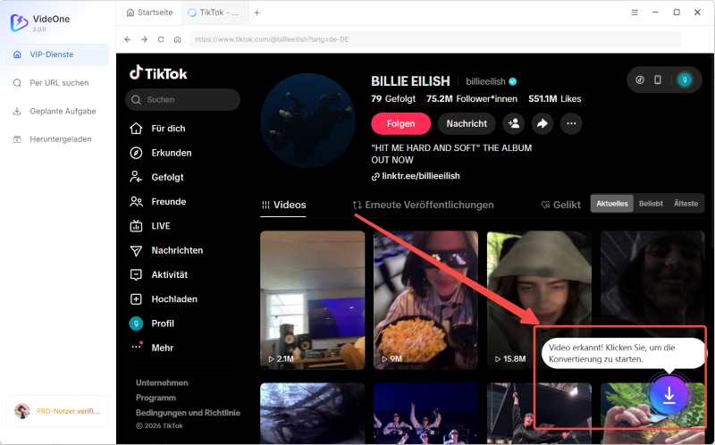 TikTok-Video nach dem Klick analysieren