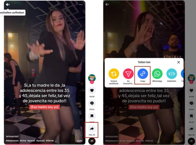 TikTok Video-Links kopieren