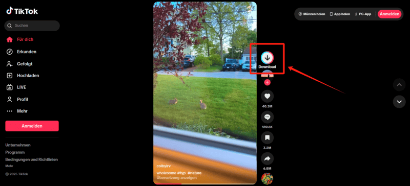 TikTok Video zu MP4 mit SSSTik downloaden