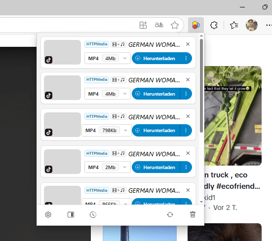 TikTok Video mit Video DownloadHelper herunterladen