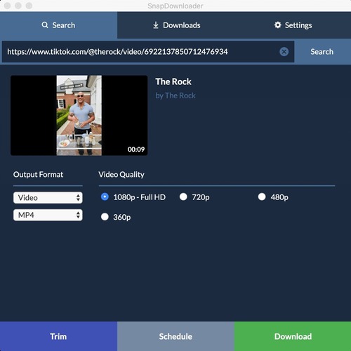 TikTok Video SnapDownloader