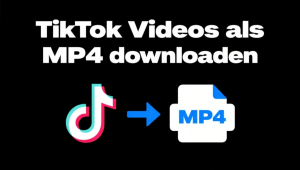 [Anleitung] So laden Sie einfach TikTok zu MP4 herunter!