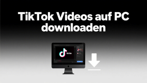 TikTok Videos auf PC downloaden mit 3 einfachen Methoden [2025]