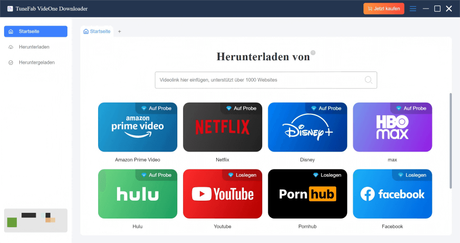 Plattform OnlyFans im TuneFab Downloader auswählen