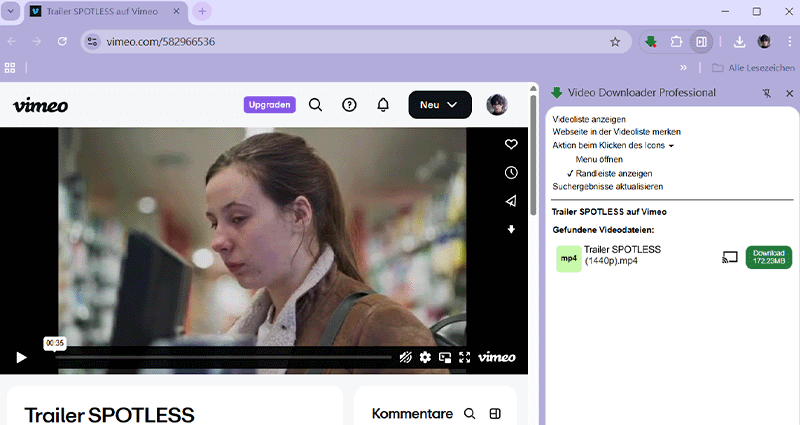 Video Downloader Professional