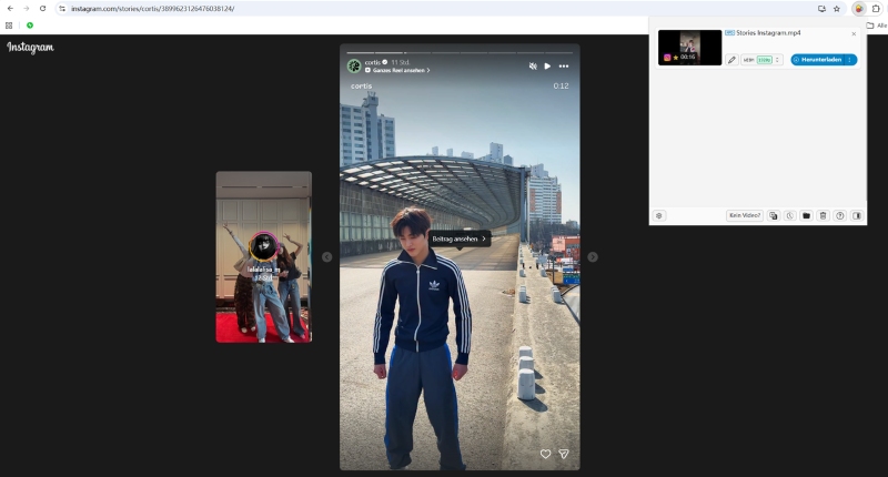 Instagram Video mit Video DownloadHelper downloaden